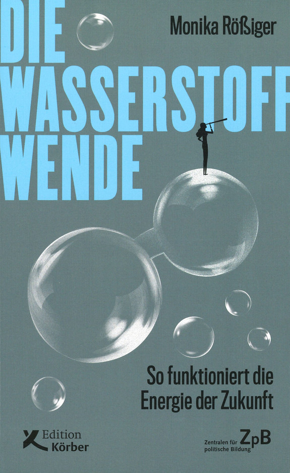 Buchcover: Die Wasserstoff-Wende